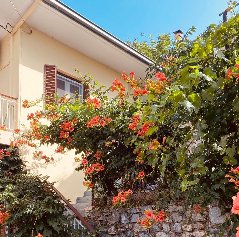 Ortansia Appartement Dimitsana Buitenkant foto