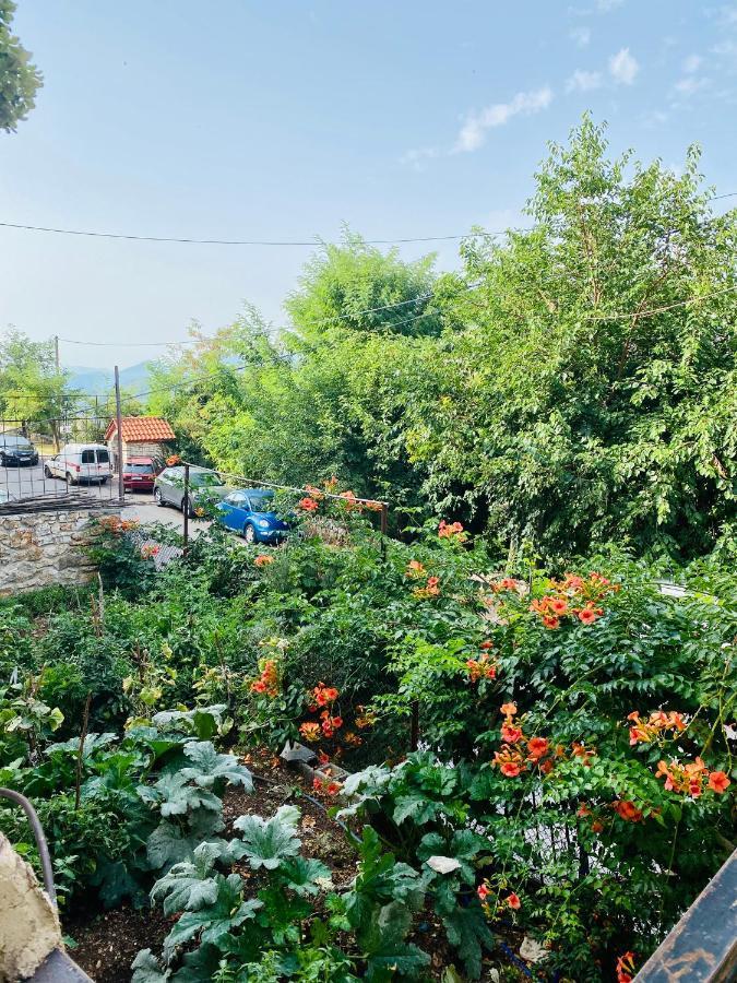 Ortansia Appartement Dimitsana Buitenkant foto
