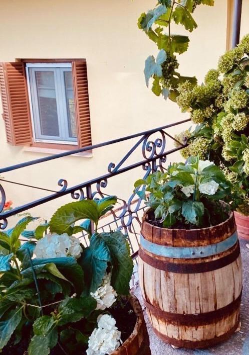 Ortansia Appartement Dimitsana Buitenkant foto