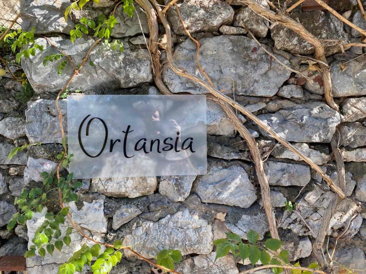 Ortansia Appartement Dimitsana Buitenkant foto