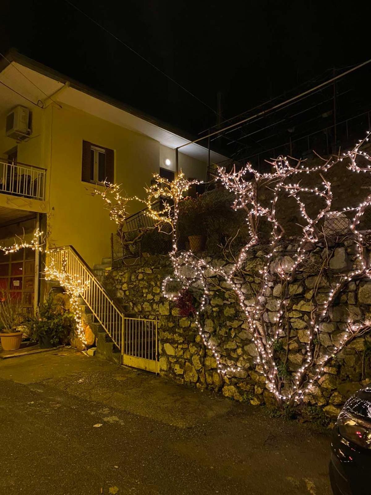 Ortansia Appartement Dimitsana Buitenkant foto