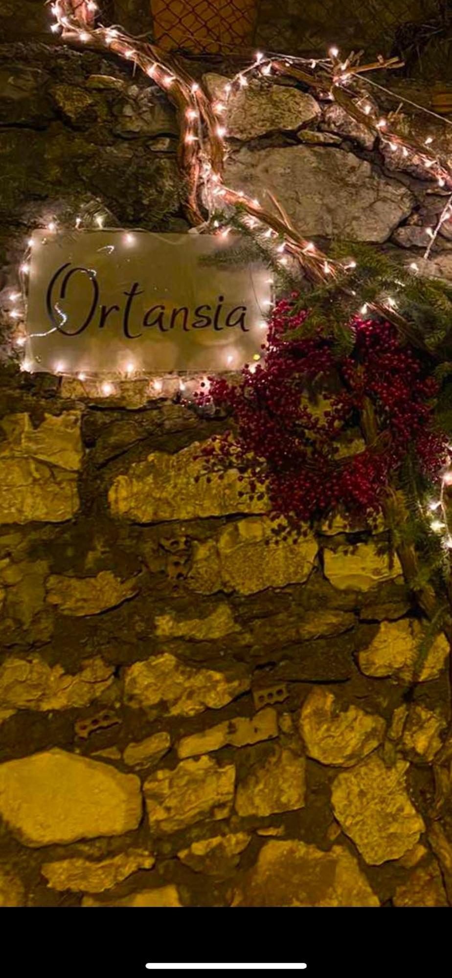 Ortansia Appartement Dimitsana Buitenkant foto